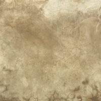 decorative 10460.jpg